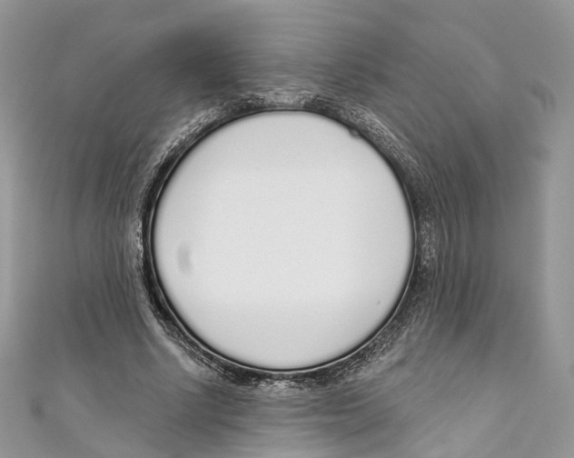 X0000110980634200907171732