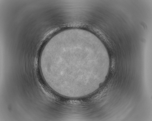 X0000110980636200907171732