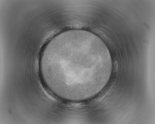 X0000110980638200907171732
