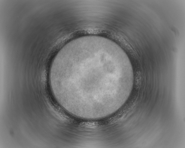 X0000110980639200907171732
