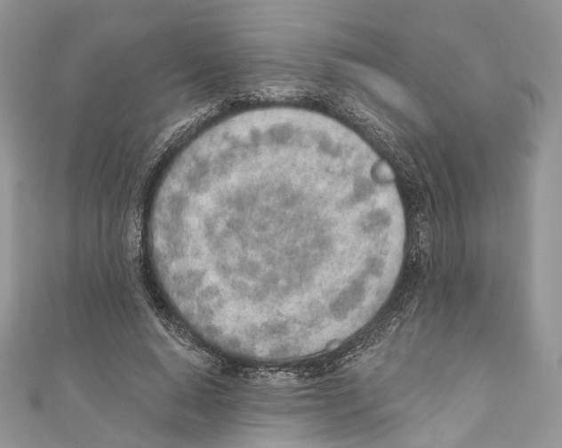 X0000110980640200907171732