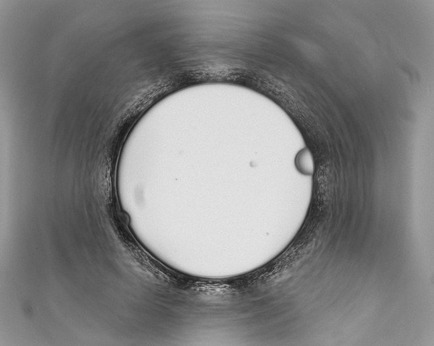 X0000110980642200907171732