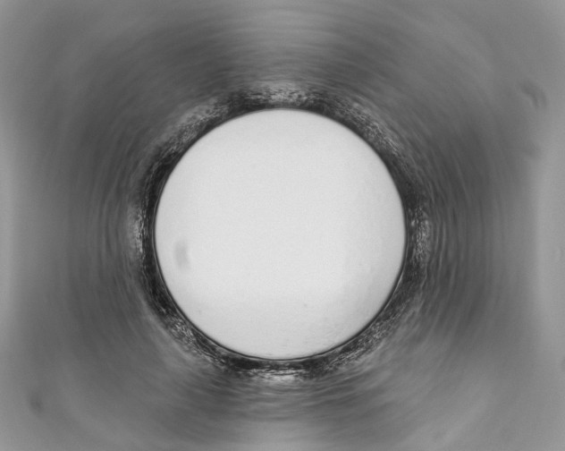 X0000110980643200907171732