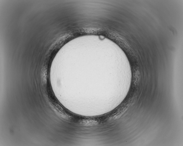 X0000110980644200907171732