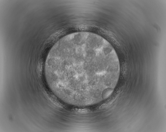 X0000110980645200907171732