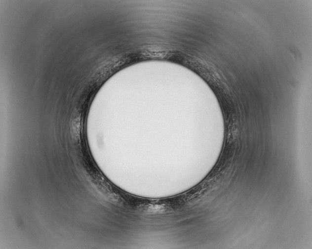 X0000110980647200907171732