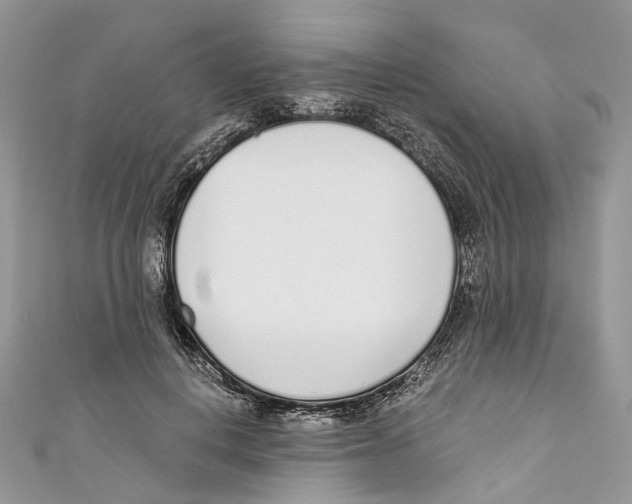 X0000110980648200907171732