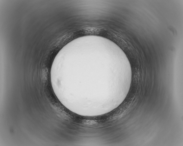 X0000110980649200907171732