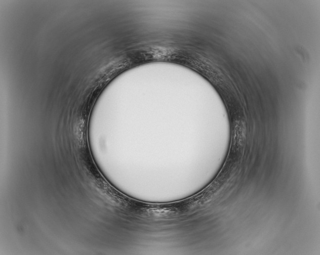 X0000110980650200907171732