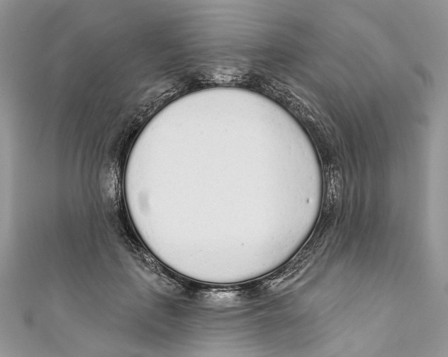 X0000110980651200907171732
