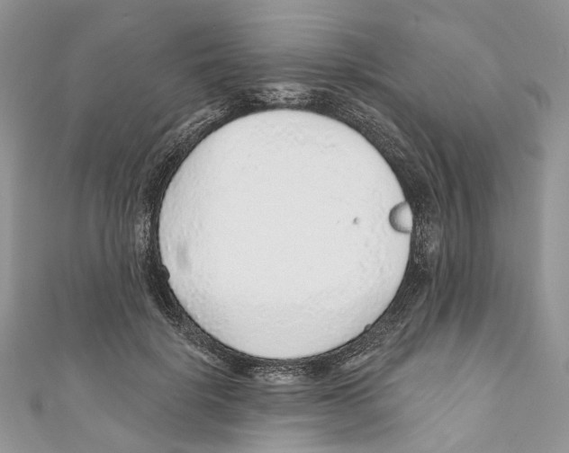 X0000110980652200907171732