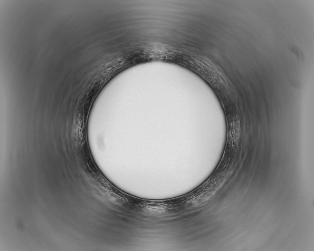 X0000110980653200907171732
