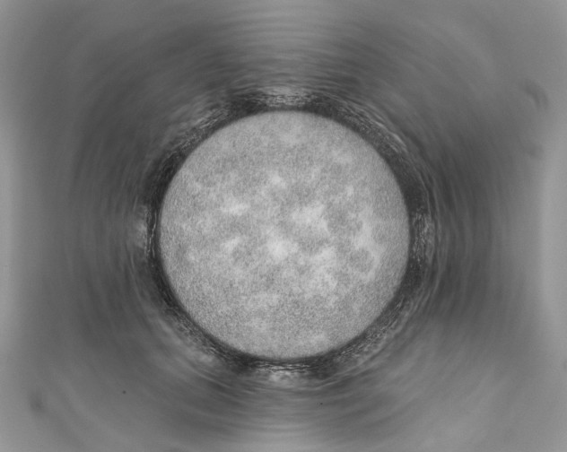 X0000110980655200907171732