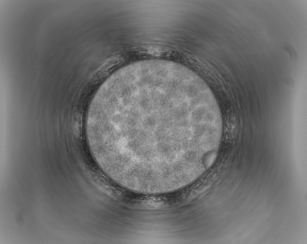 X0000110980656200907171732