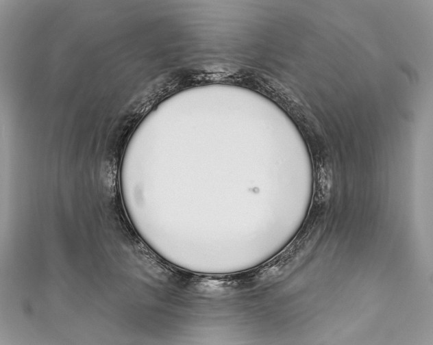 X0000110980657200907171732