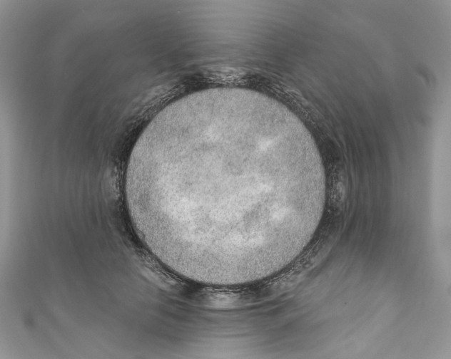 X0000110980658200907171732