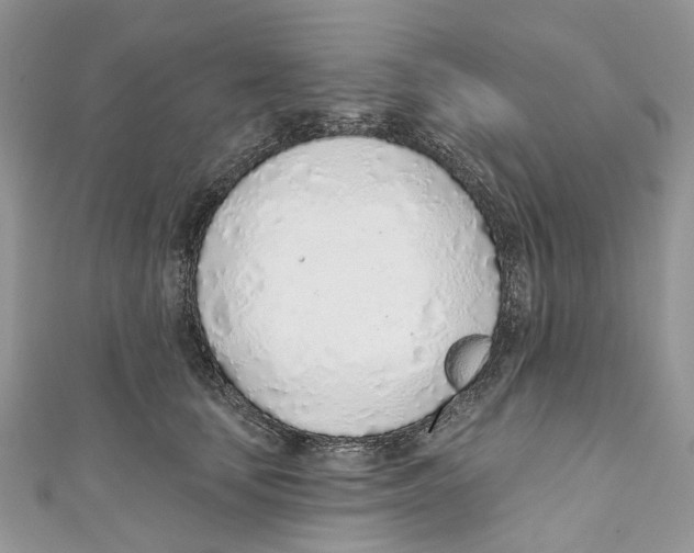 X0000110980659200907171732