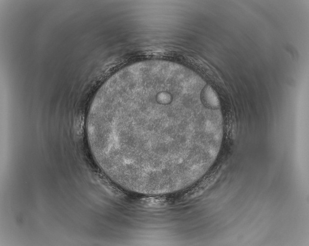 X0000110980660200907171733