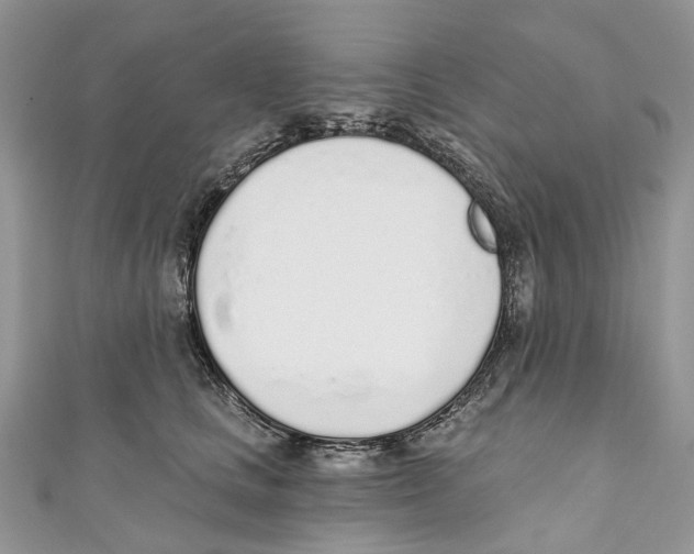 X0000110980661200907171733