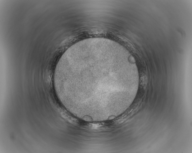X0000110980662200907171733