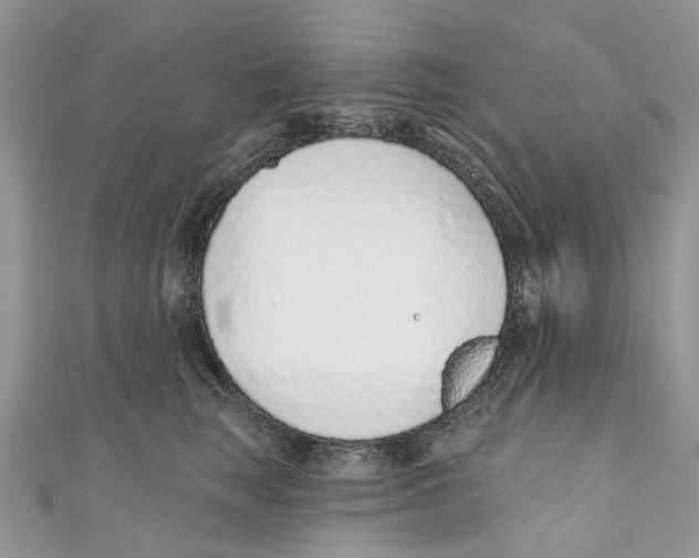 X0000110980663200907171733