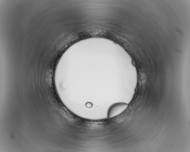 X0000110980664200907171733
