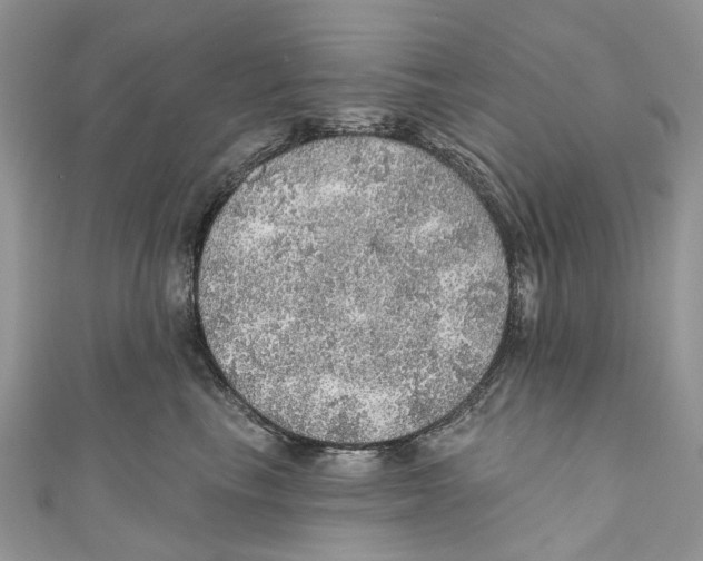 X0000110980665200907171733