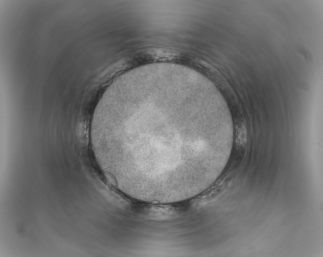 X0000110980666200907171733