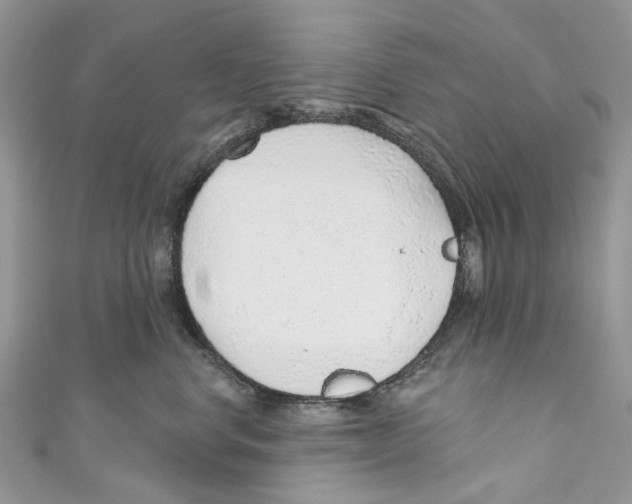 X0000110980668200907171733