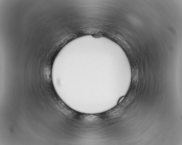 X0000110980669200907171733