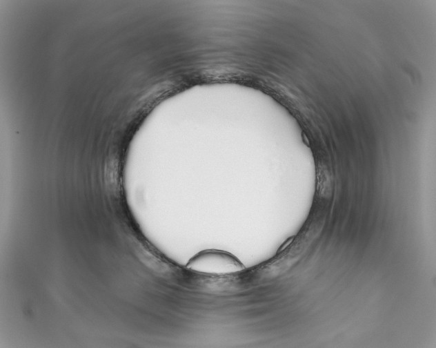 X0000110980670200907171733