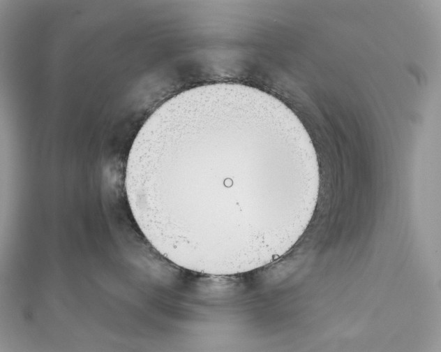 X0000110980672200907171733