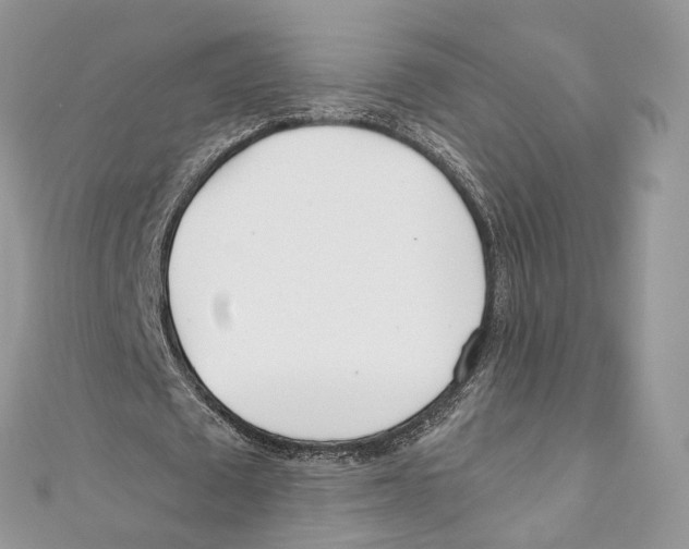 X0000110980673200907171732