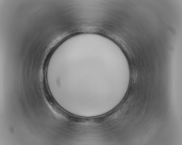 X0000110980674200907171732