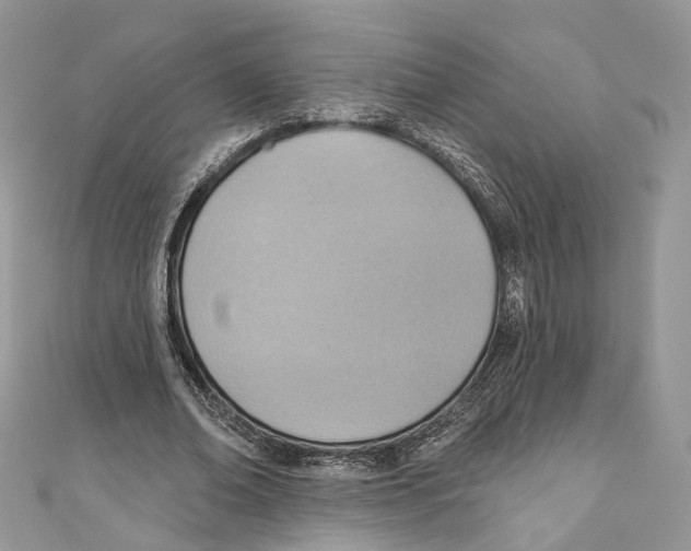 X0000110980678200907171732