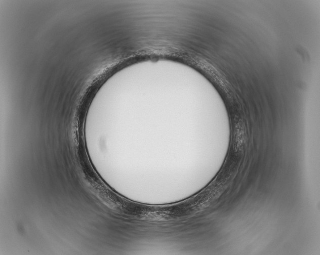 X0000110980680200907171732