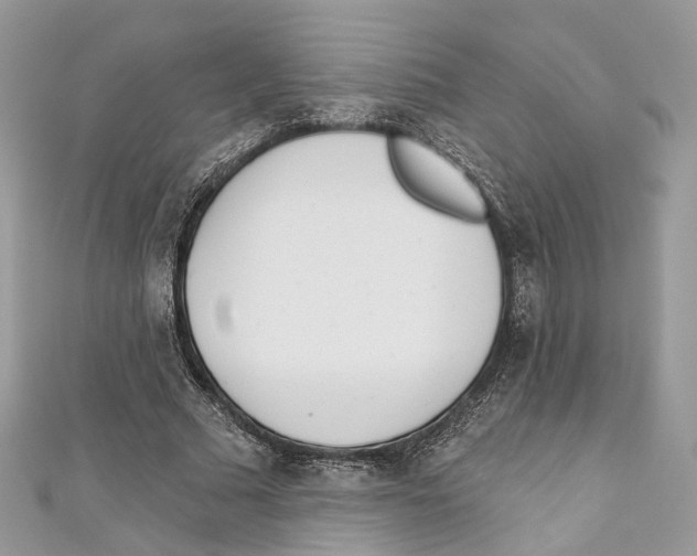 X0000110980681200907171732