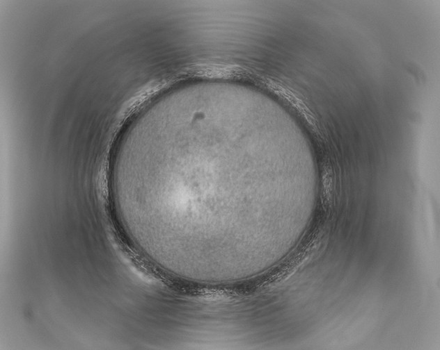 X0000110980682200907171732