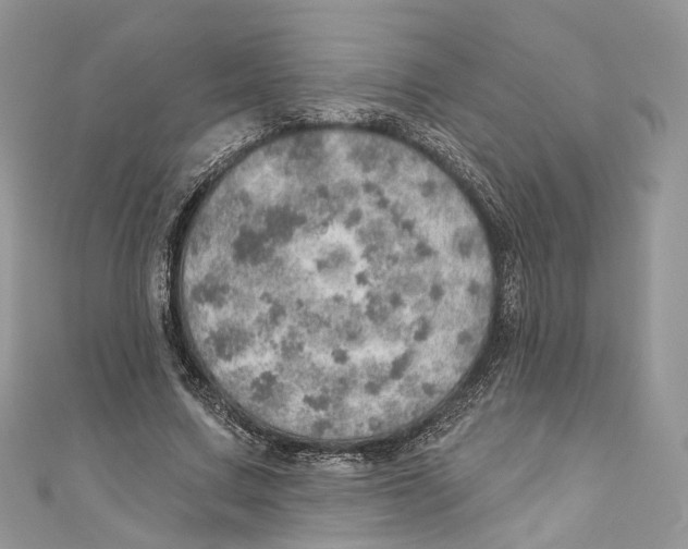 X0000110980683200907171732