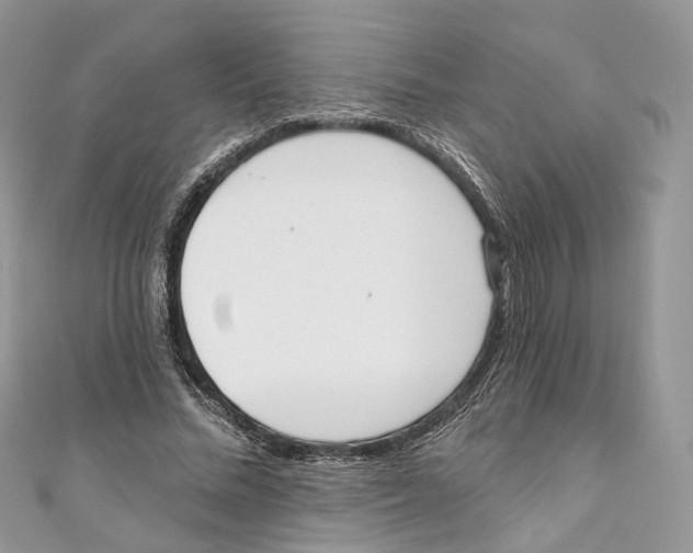 X0000110980684200907171732