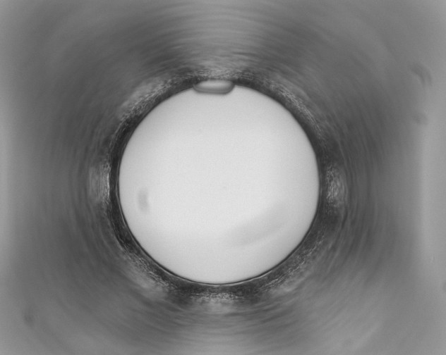 X0000110980685200907171732