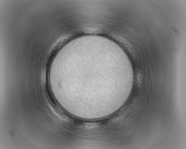 X0000110980686200907171732