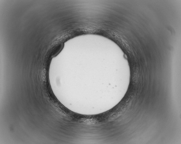 X0000110980689200907171732
