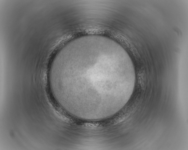 X0000110980690200907171732