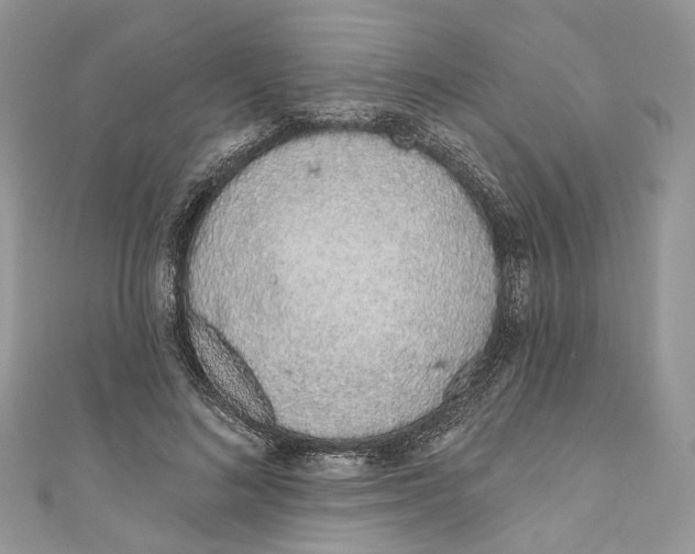 X0000110980692200907171732