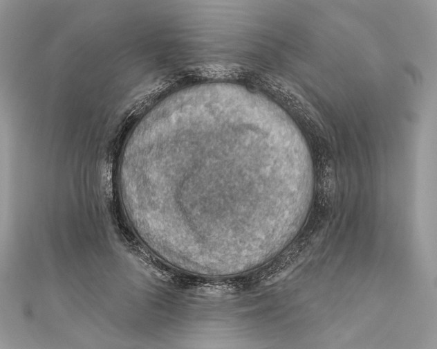 X0000110980696200907171732