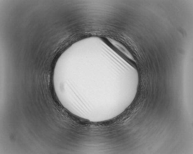 X0000110980697200907171732
