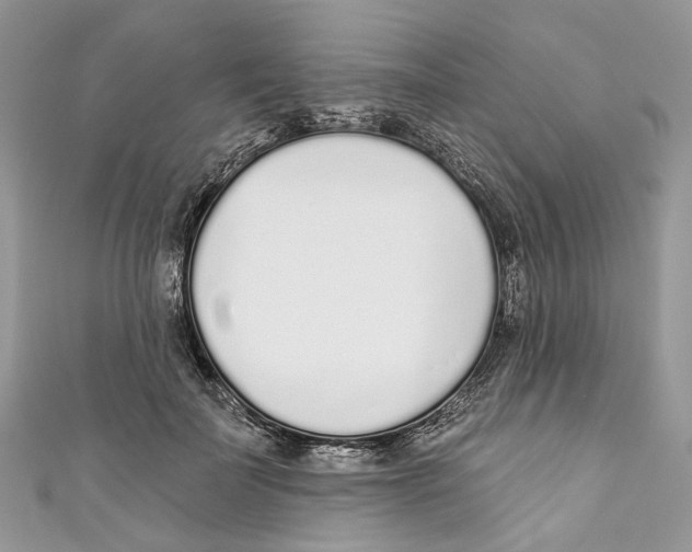 X0000110980699200907171732