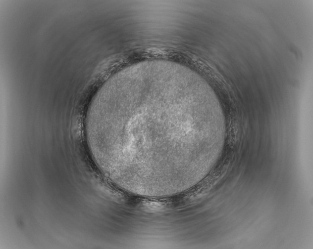 X0000110980706200907171732