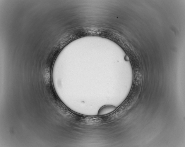X0000110980707200907171732